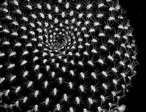 Rule 3: Time Heals Almost Everything…Give It Time